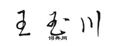 駱恆光王玉川草書個性簽名怎么寫
