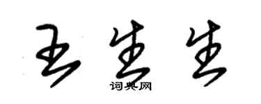 朱錫榮王生生草書個性簽名怎么寫