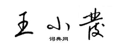 梁錦英王小發草書個性簽名怎么寫