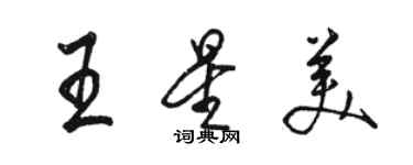 駱恆光王星美行書個性簽名怎么寫