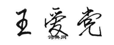 駱恆光王愛黨行書個性簽名怎么寫