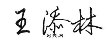 駱恆光王添林行書個性簽名怎么寫