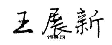 曾慶福王展新行書個性簽名怎么寫