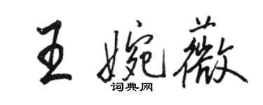 駱恆光王婉薇行書個性簽名怎么寫