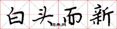 周炳元白頭而新楷書怎么寫
