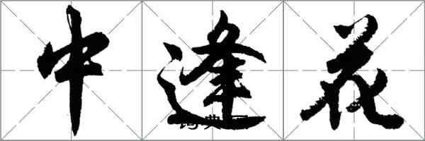 胡問遂中逢花行書怎么寫