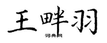 丁謙王畔羽楷書個性簽名怎么寫