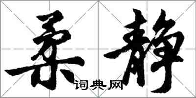 胡問遂柔靜行書怎么寫