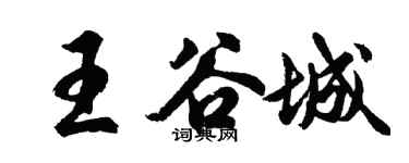 胡問遂王谷城行書個性簽名怎么寫