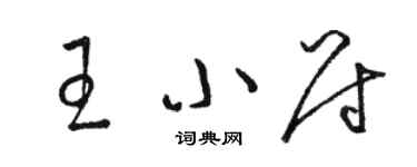 駱恆光王小尉草書個性簽名怎么寫