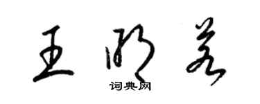 梁錦英王明若草書個性簽名怎么寫
