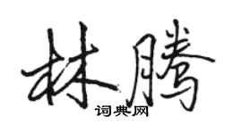 駱恆光林騰行書個性簽名怎么寫