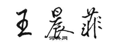 駱恆光王晨菲行書個性簽名怎么寫