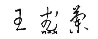 駱恆光王武蘭草書個性簽名怎么寫