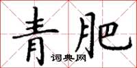 丁謙青肥楷書怎么寫