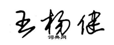 朱錫榮王楊健草書個性簽名怎么寫