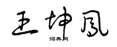 曾慶福王坤鳳草書個性簽名怎么寫