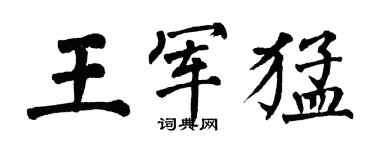 翁闓運王軍猛楷書個性簽名怎么寫