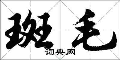 胡問遂斑毛行書怎么寫