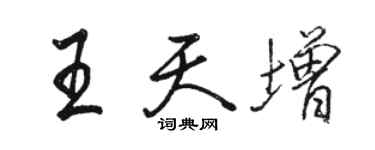 駱恆光王天增行書個性簽名怎么寫