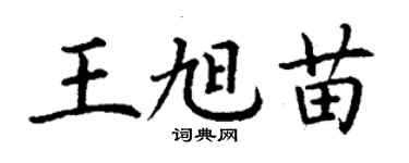 丁謙王旭苗楷書個性簽名怎么寫