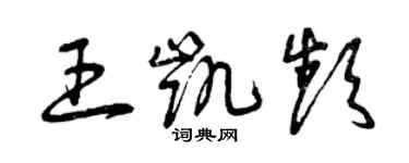 曾慶福王凱頻草書個性簽名怎么寫