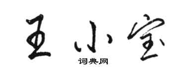 駱恆光王小寶行書個性簽名怎么寫