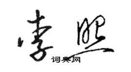 駱恆光李照草書個性簽名怎么寫