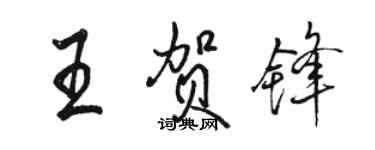 駱恆光王賀鋒行書個性簽名怎么寫