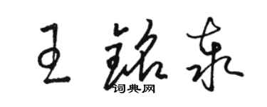 駱恆光王銘泰草書個性簽名怎么寫