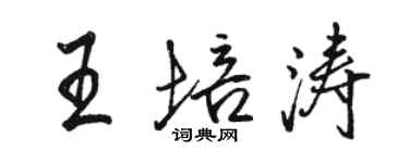 駱恆光王培濤行書個性簽名怎么寫