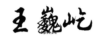 胡問遂王巍屹行書個性簽名怎么寫