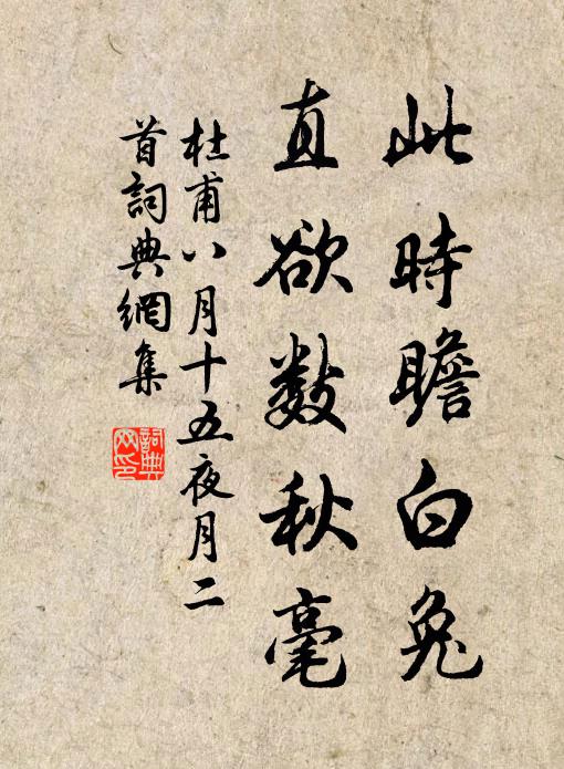 杜甫此時瞻白兔,直欲數秋毫。書法作品欣賞