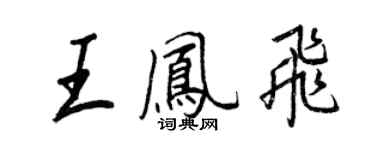 王正良王鳳飛行書個性簽名怎么寫