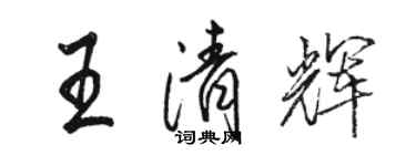 駱恆光王清輝行書個性簽名怎么寫