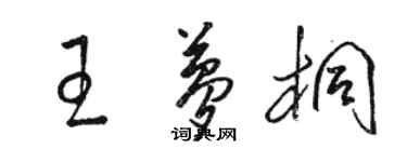 駱恆光王夢桐草書個性簽名怎么寫