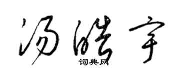 梁錦英湯皓宇草書個性簽名怎么寫