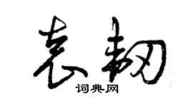 曾慶福袁韌草書個性簽名怎么寫