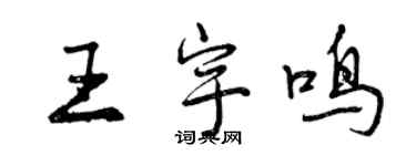 曾慶福王宇鳴行書個性簽名怎么寫