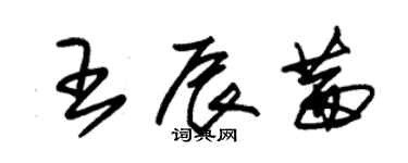 朱錫榮王辰茜草書個性簽名怎么寫