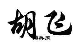 胡問遂胡飛行書個性簽名怎么寫