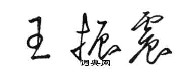 駱恆光王振震草書個性簽名怎么寫