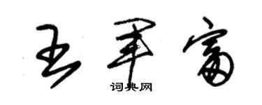 朱錫榮王軍富草書個性簽名怎么寫