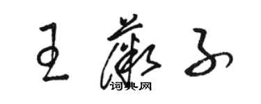 駱恆光王薇子草書個性簽名怎么寫