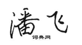 駱恆光潘飛行書個性簽名怎么寫