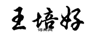 胡問遂王培好行書個性簽名怎么寫