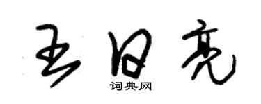 朱錫榮王日亮草書個性簽名怎么寫