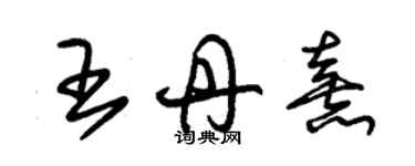 朱錫榮王丹熹草書個性簽名怎么寫