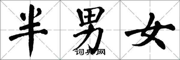 翁闓運半男女楷書怎么寫