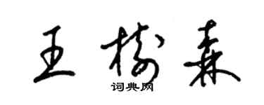 梁錦英王樹森草書個性簽名怎么寫